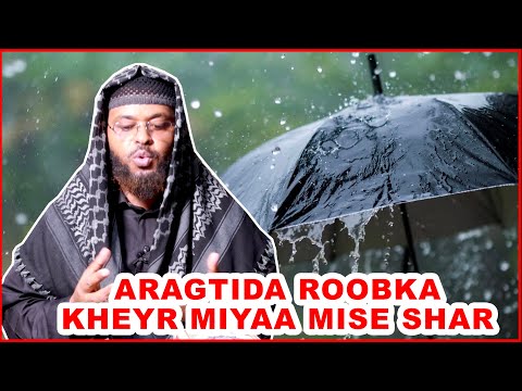 Aragtida Roobka Run Miyaa Arsaaq Waaye Jawaabta Dhagayso