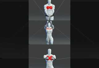 Want A Complete Chest With Cable Flys 