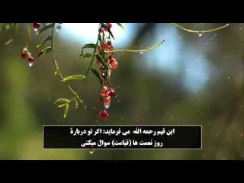 دیدار الله متعال در بهشت