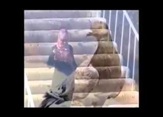  ايوب طارش صدفه من الصبح