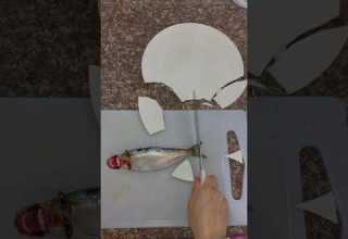 البنت والسمكة ههه ام سيف ونانو