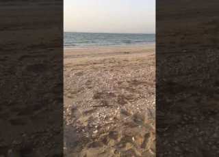  قلبا لي عنيد ياعابره