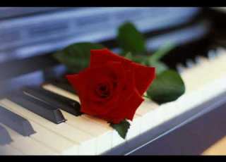 Yadgare Omr The Reminiscence Of Life Anoushirvan Rohani