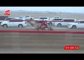  الشوط 4 مبشر لـ محمد علي حمد الدرعي 2 10 شارة الصندوق 2024 7 7 فطامين سويحان