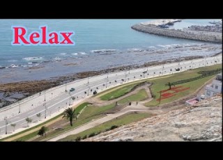 صوت أمواج البحر وطيور النورس مع موسيقى هادئة للإسترخاء والنوم The Sound Of Sea Waves To Relax