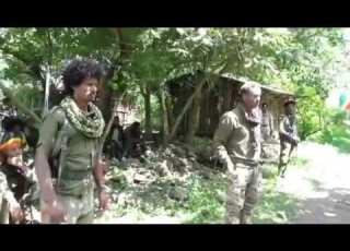  አርበኛ ደረጀ በላይ እንዲህ ያስመረራቸው ነገር ምንድነው