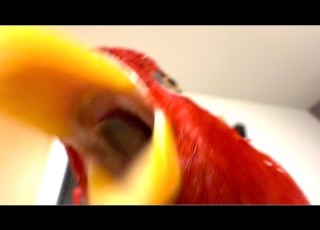 Gumi Licking Monster