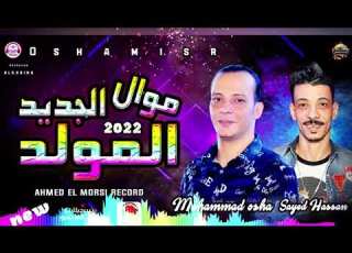  موال جديد بمولد من السيد حسن والقشاش محمد اوشه هيوديك في عالم تاني بطلعات جديده هتفرتك السماعات ٢٠٢٢