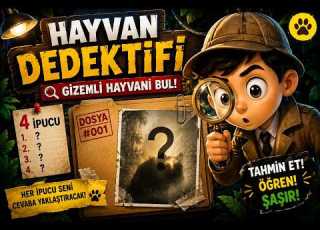  GİZEMLİ HAYVANI BUL DOSYA 023