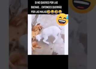 حتتباس يعني حتتباس