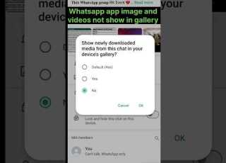  Whatsapp Image Video Not Show In Gallery From Group 2025 Shorts Ytshort