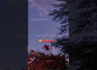  وكنت غريب لقيتلي حبيب تصميمي Foryou حالات واتس بتاعedit