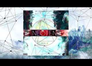  Zed K NEOTEN