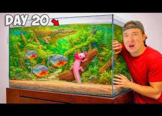 30 Days Building A Tiny Ecosystem With Predators