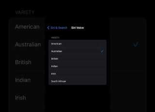  Siri British Accent Meme