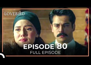  Lovebird Episode 80