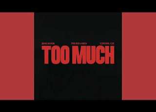  The Kid LAROI Jung Kook Central Cee TOO MUCH Audio