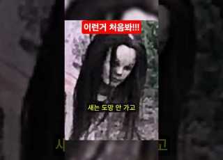  태어나서 처음본다 이게 허수아비라고