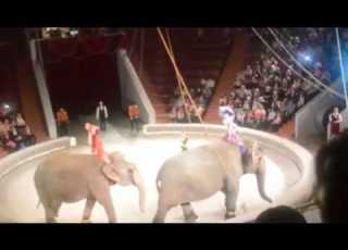  LE CIRQUE RUSSE DRESSEURS D ELEPHANTS السيرك الروسي مدرب الفيلة THE RUSSIAN CIRCUS ELEPHANTS