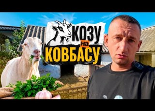  Сісірда пішла в діло Переробили козу та зробили найсмачніші мисливські ковбаски