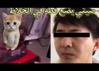 الرجل الصيني الدي طحن قطة بريئة في خلاط