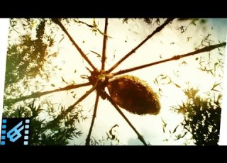 Kong Skull Island Gaint Spider Fight Scene