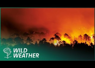  The Unthinkable Natural Disasters Of 2016 Disaster Diaries Earth Stories