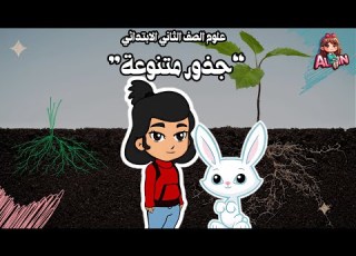  جذور متنوعة علوم الصف الثاني الابتدائي اكتشف أنواع الجذور وأشكالها