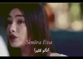  أمرك وأمري هاني شاكر