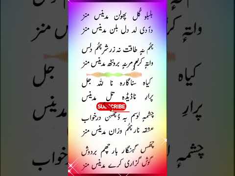 Bulbulo Gul Pholan Madeenas Manz Shorts Trending Kashmirinaats