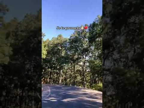 مشي انا لي معنديش شخصية