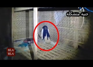  3 أشياء مرعبة صورتها الكا صدفة تقشعر لها الأبدان بلابلا