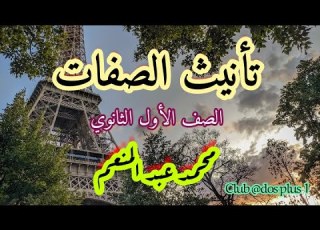  تأنيث الصفات في اللغة الفرنسية Le Féminin Des Adjectifs