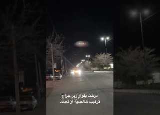 درخت بلوار ز یر چراغ یه ترکیب خالصه از تضاد دیدید افرین حالا که دیدید مهمانسرامم ببینید