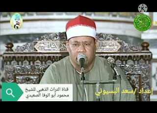 الشيخ محمود ابو الوفا الصعيدي سورة هود