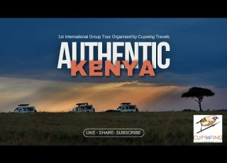 Exploring Masai Mara National Reserve In Kenya 2024