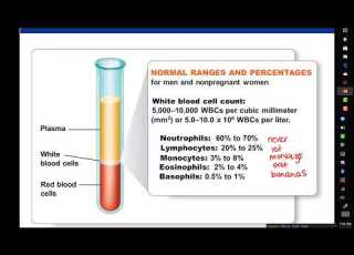  Lab 11 1 And 11 5 Blood Cell Count And Blood Typing