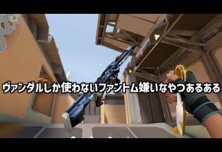 VALORANT People Who Only Use Vandal And Hate Phantom