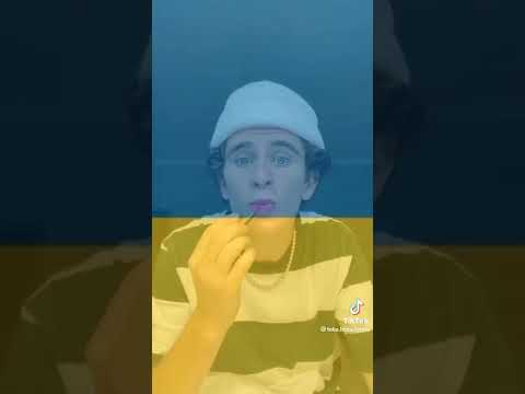 з України є багато популярних блогерів