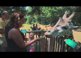 Exploring The Heart Of North Carolina Randolph County