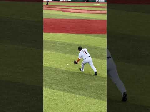 巨人 長野久義 バックホーム 巨人 長野久義 ジャイアンツ プロ野球 野球 Baseball