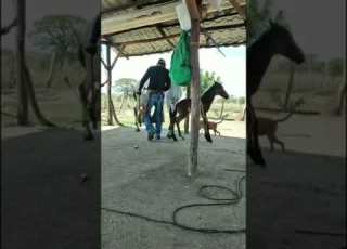 مهره