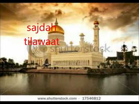 شيخ أبو بكر الشاطري سورة السجدة Qari Shatri Surah As Sajdah Old Voice