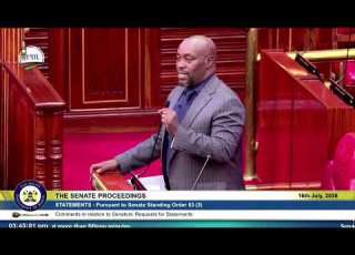 Watch Senator Enoch Wambua Push For Level Six Status For All Former Provincial Hospitals
