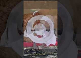 الشريف هارون خليفة ابريش الطريقة السمانية السجادة السليمانية اب رخم القضارف