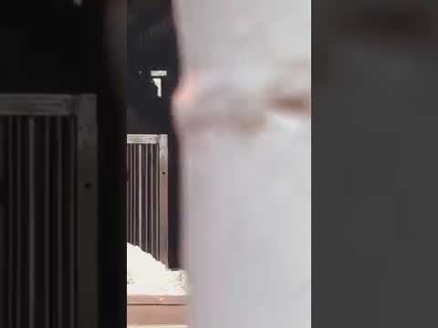 Sai UDI Ganpati Trending Shorts