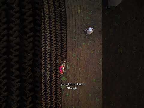 النفس دائم ا تميل لمن ي حسن إليها لايكاتكم تسعدني رمزيات يوميات تعليقاتكم تهمني فلو متفاعله لايكك