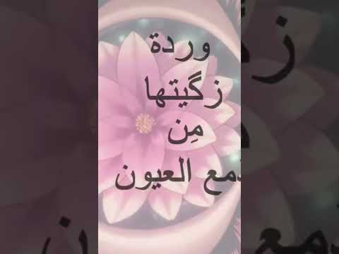 ضيعت كل حسنها Explore Foryoupage Viral Fypジ Viral Following