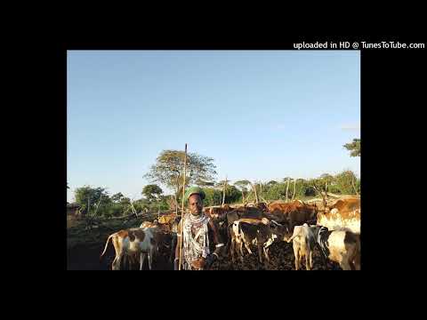 Nzala SHULE Limbu Nyinge Jiminongen MPYA 2026