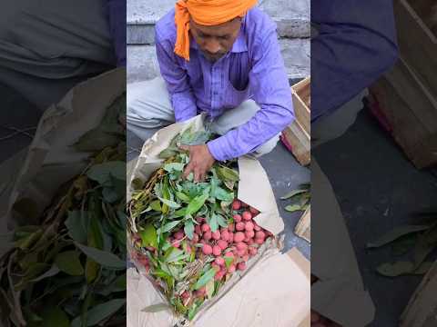 Badhiya Lychee Kaisi Hoti Hai Shorts Fruit Delhi